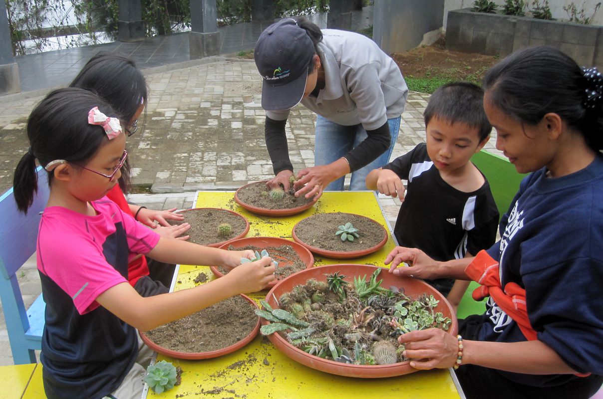 Landscaping In A Pot – Taman Simalem